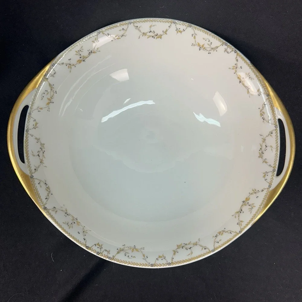 Haviland & Co. Limoges 9